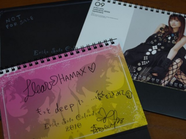 佐藤江梨子 ERIKO SATO カレンダー 非売品 CMEinc compass VICTIM WHIZ 浜浦
