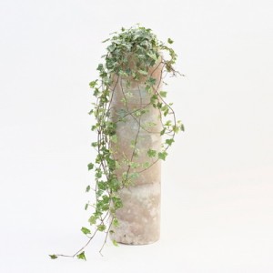 CANDLE JUNE VICTIM TUSTING COMPASS