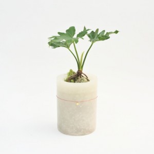 CANDLE JUNE VICTIM TUSTING COMPASS12