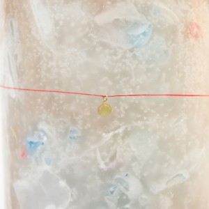 CANDLE JUNE VICTIM TUSTING COMPASS2