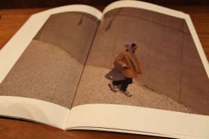 COMPASS VARDE77 VICTIM WHIZ4