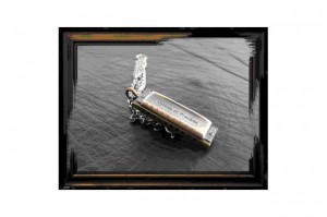 VARDE COMAPSS VICTIM