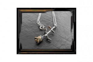 VARDE77 COMPASS VICTIM WHIZ