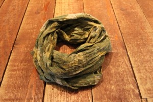 COMPASS VICTIM WHIZ MEAN