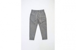 COMPASS WHIZ VICTIM MEAN