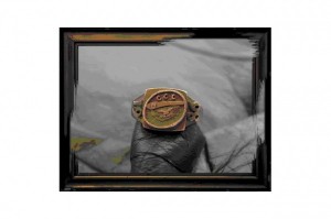 VICTIM VARDE77 MEAN WHIZ