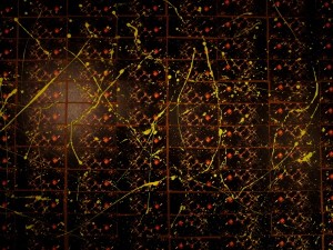 COMPASS VICTIM WHIZ AWA9