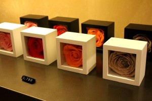 COMPASS通販 MEAN通販　WHIZ通販