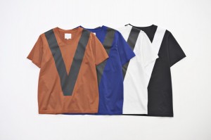 COMPASS VICTIM2013 AWA WHIZ5