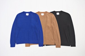 COMPASS VICTIM2013 AWA WHIZ7