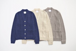 COMPASS VICTIM2013 AWA WHIZ9