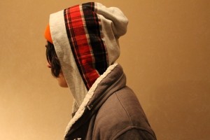 whizブログ compassブログ3