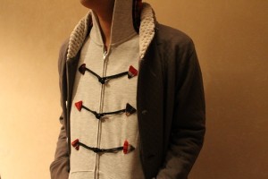 whizブログ compassブログ2