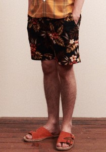 COMPASS MEAN S:S WHIZ OFFCITY2