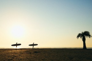 COMPASS WHIZ VICTIM OFFCITY