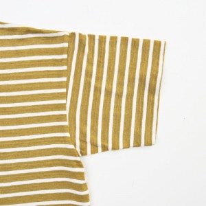 COMPASS WHIZ VIICTIM OFFCITY3