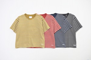 COMPASS WHIZ VIICTIM OFFCITY8