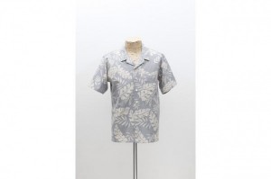 COMPASS mean Vrade77 VICTIM2