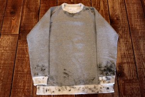 compass WHIZ VICTIM OFFCITY10