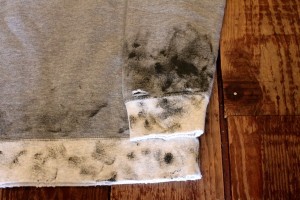 compass WHIZ VICTIM OFFCITY11