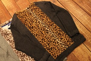 whizブログ compassブログ10