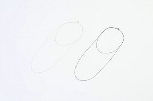 COMPASS VICTIM 下鳥3