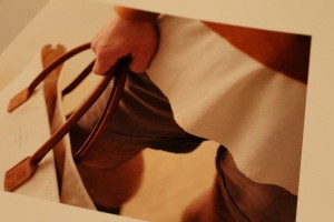 COMPASS WHIZ VICTIM AWA8