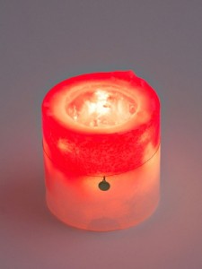 COMPASS VICTIM 通販9