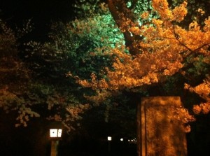IMG_0061