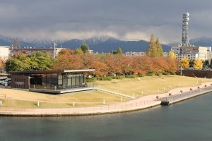 IMG_6131