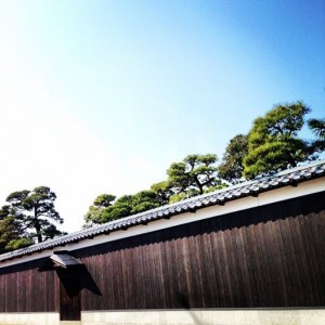 新潟 niigata 晴れ 天候 天気 春 日和 アオ 青 空 イマソラ shop compass CMEinc 浜浦雅也