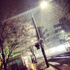 新潟 雪 shop compass コンパス CMEinc 浜浦 niigata 吹雪 春