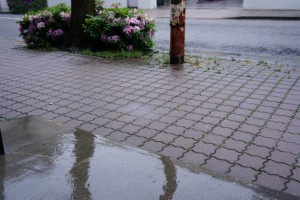 新潟 compass 天気 雨