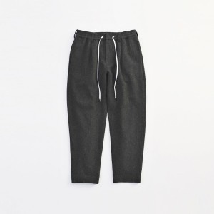 WOOL ANKLE PANTS VICTIM 下鳥直之 GRY