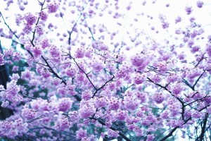 2015-04-03 03.42.12 1o