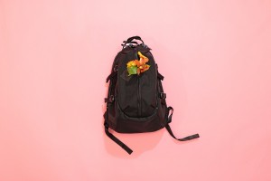 IMG_0024_1